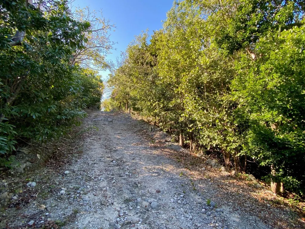 Lot 4 Summerview Abaco BS — photo 5