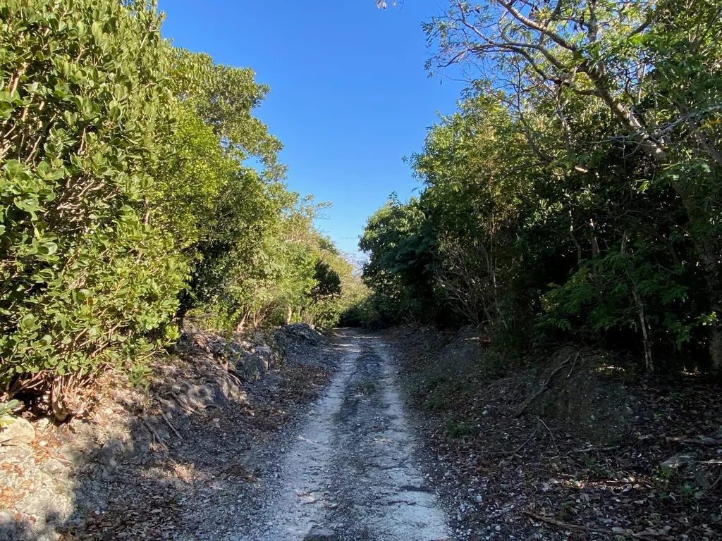 Lot 4 Summerview Abaco BS — photo 9