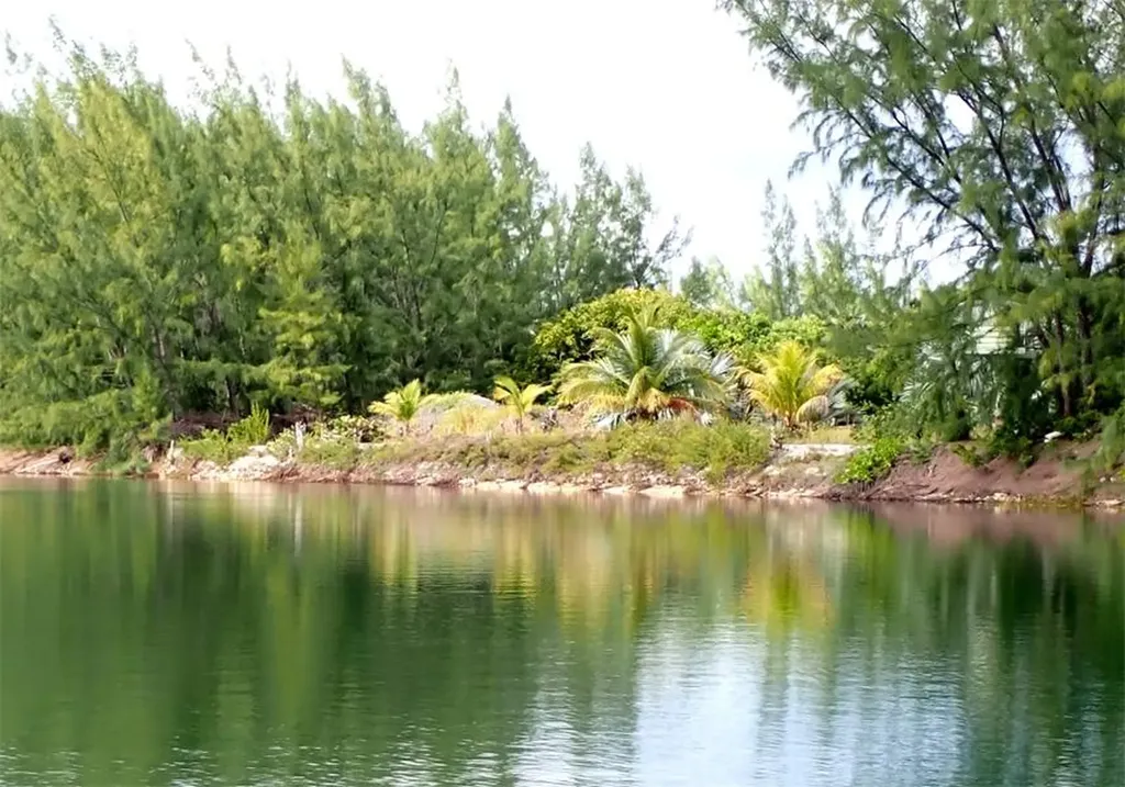Rose Island Lots 115&116 Rose Island BS — photo 12