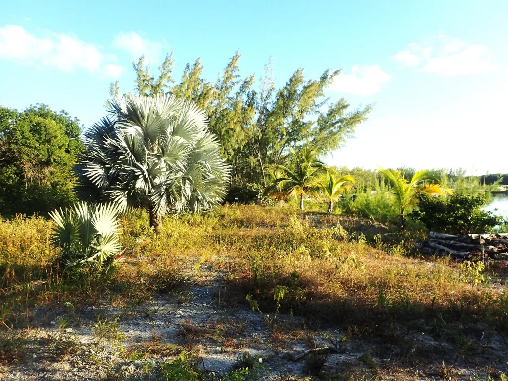 Rose Island Lots 115&116 Rose Island BS — photo 4