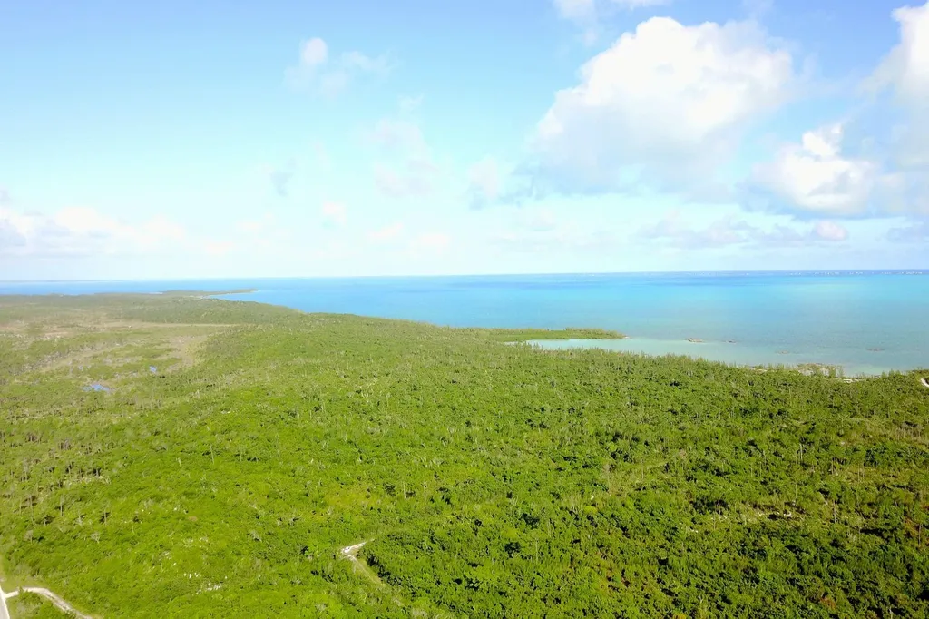 353 Acres North Marsh Har Abaco BS — photo 2