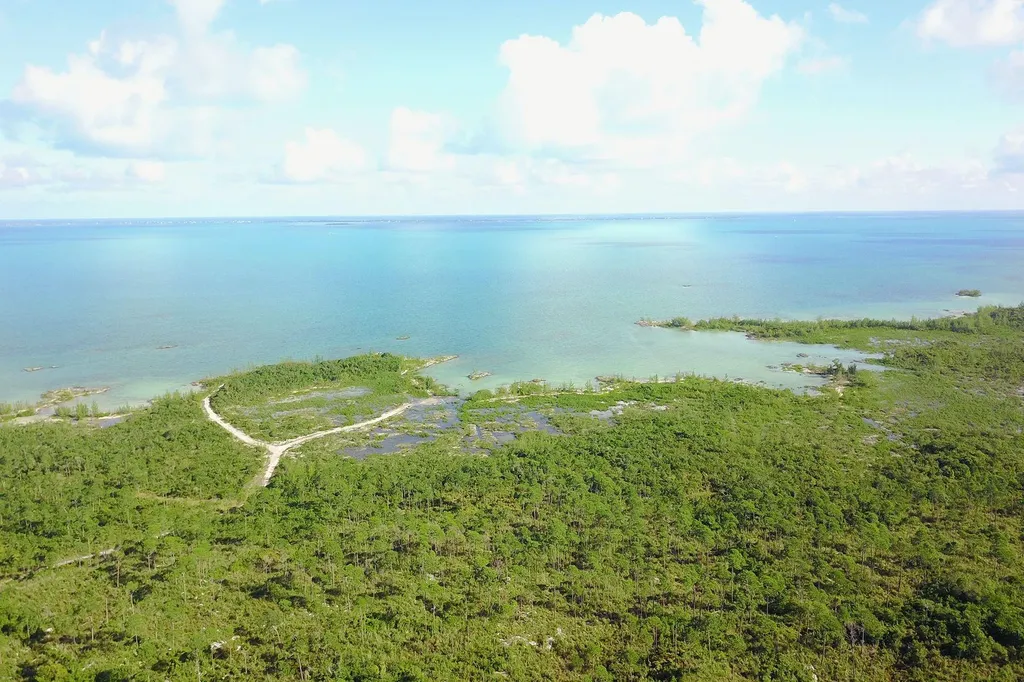 353 Acres North Marsh Har Abaco BS — photo 11