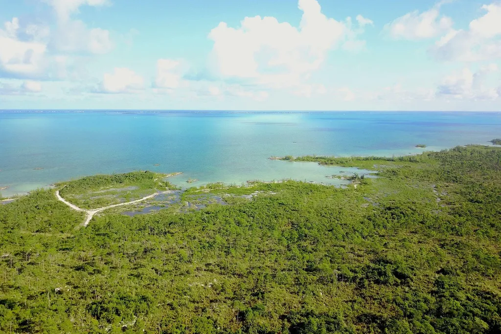 353 Acres North Marsh Har Abaco BS — photo 12