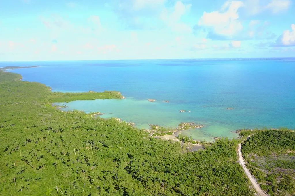 353 Acres North Marsh Har Abaco BS — photo 4