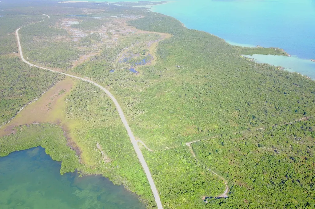 353 Acres North Marsh Har Abaco BS — photo 5