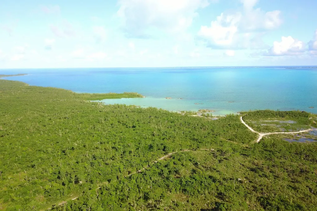 353 Acres North Marsh Har Abaco BS — photo 6