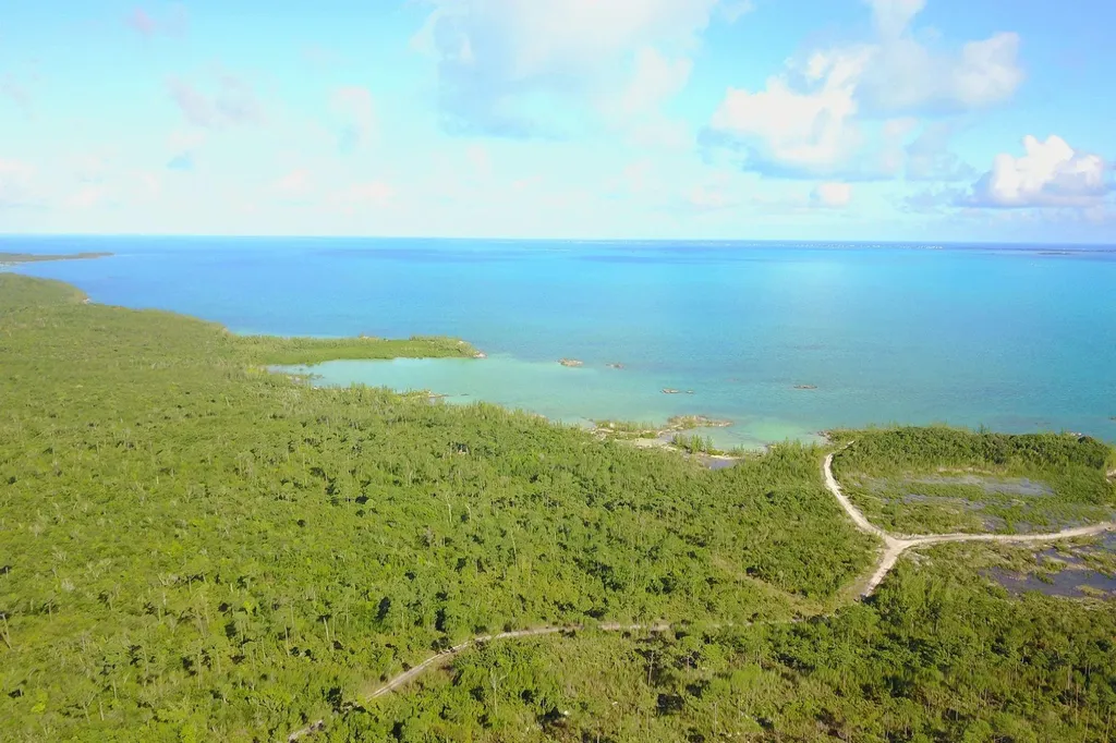 353 Acres North Marsh Har Abaco BS — photo 7