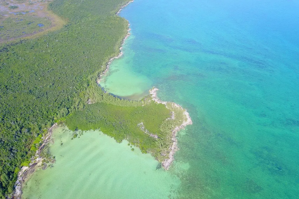 353 Acres North Marsh Har Abaco BS — photo 8