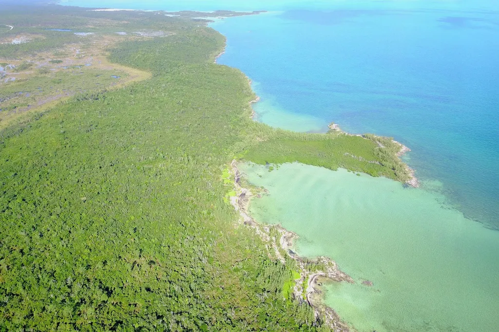 353 Acres North Marsh Har Abaco BS — photo 9