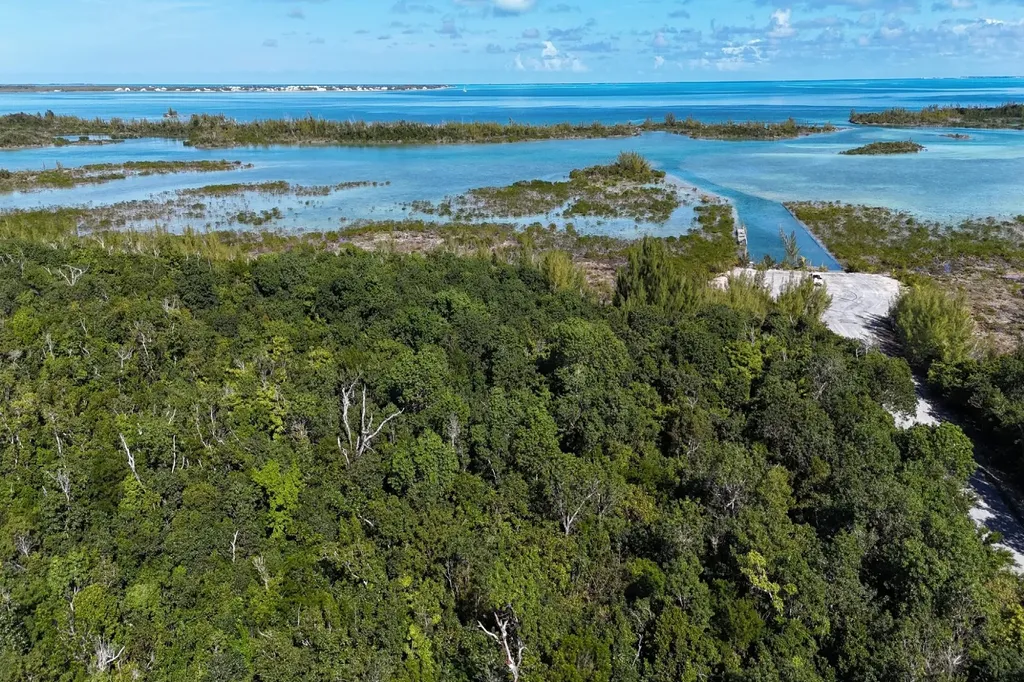 Turtle Cove, The Landing 10 Abaco BS — photo 12