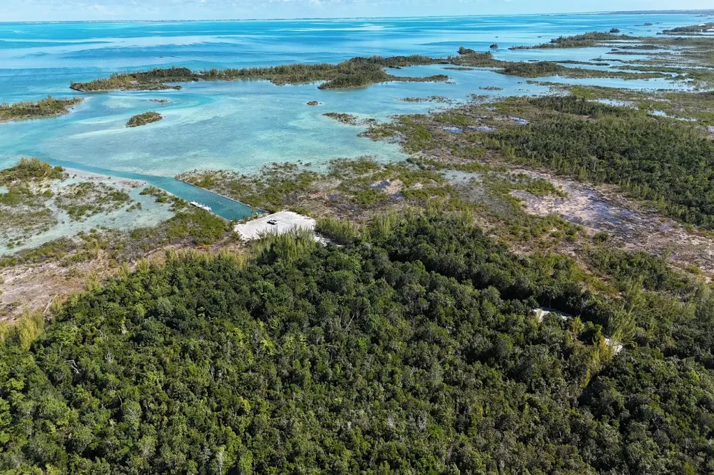 Turtle Cove, The Landing 10 Abaco BS — photo 9
