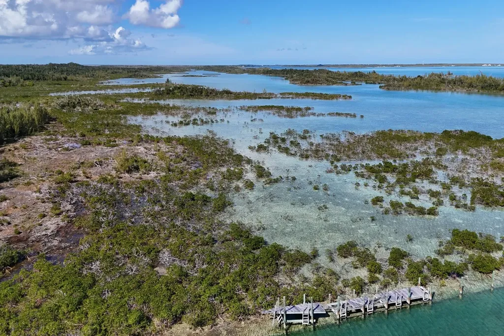 Turtle Cove, The Landing 11 Abaco BS — photo 8