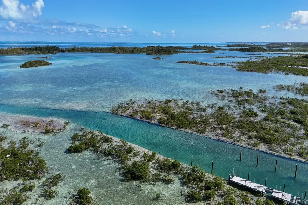 Turtle Cove, The Landing 11 Abaco BS — photo 9