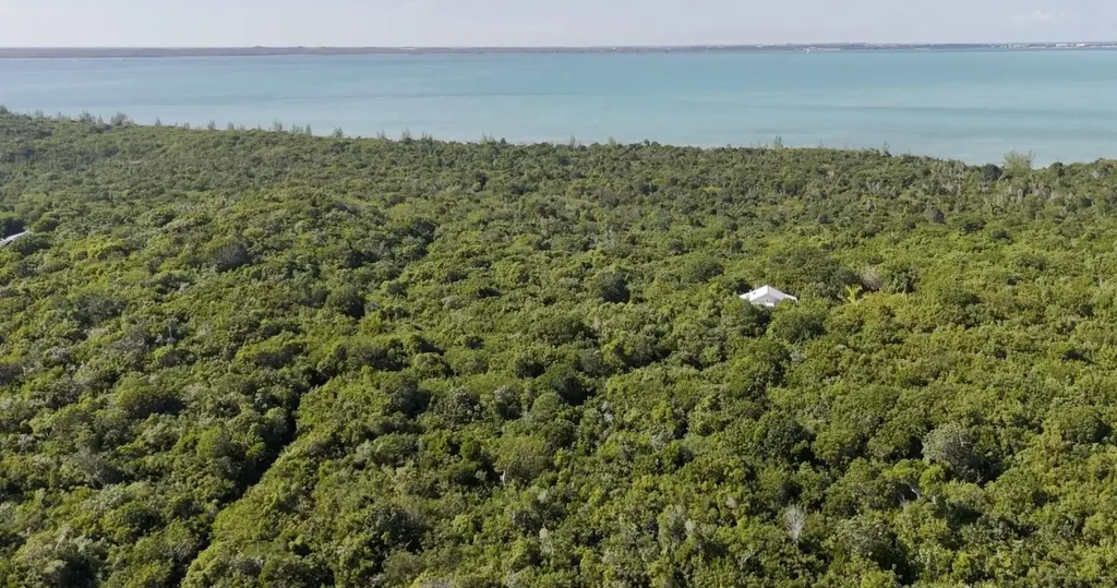 Gumellimi Grove Lot M5 Abaco BS — photo 5