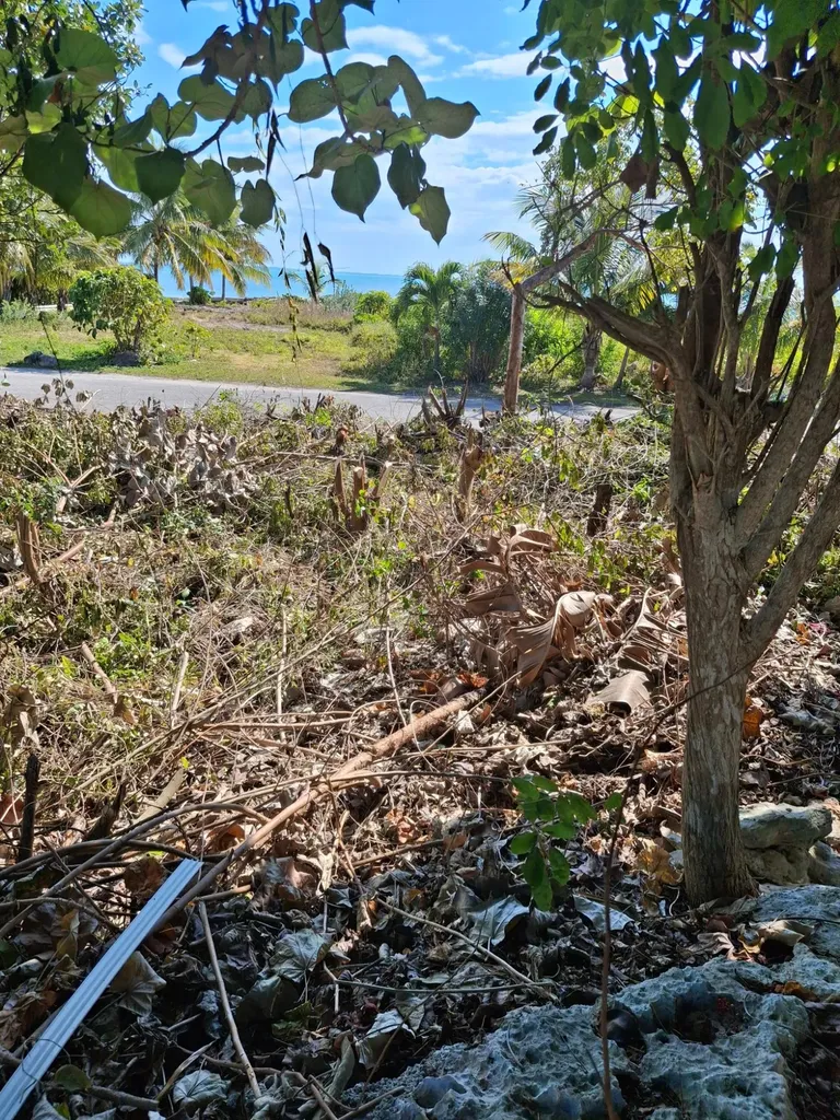 Sunrise Bay Subdivision 21 Abaco BS — photo 5