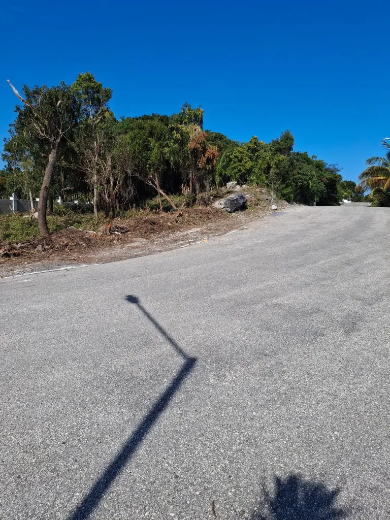 Sunrise Bay Subdivision 21 Abaco BS — photo 7