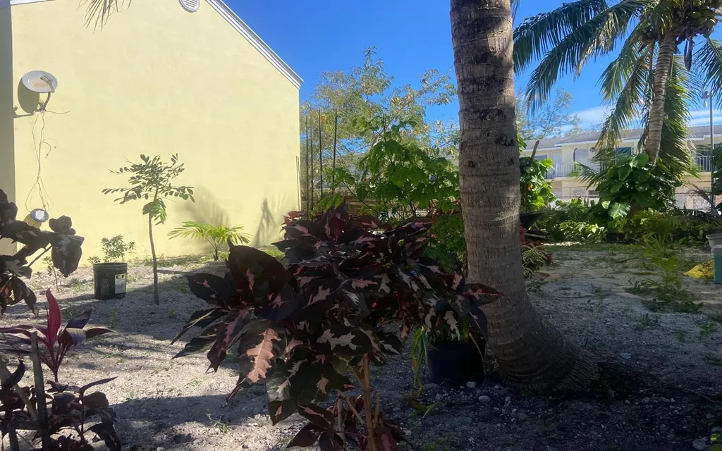 Gated Lot In Cable Beach New Providence Paradise Island BS — photo 8