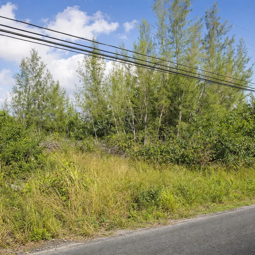 Adelaide Road New Providence Paradise Island BS — photo 4