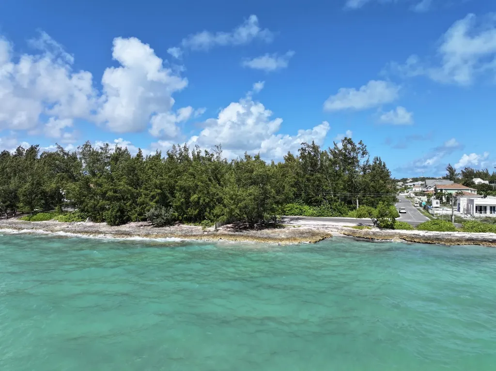 Twynam & Ocean Front Lot New Providence Paradise Island BS — photo 2