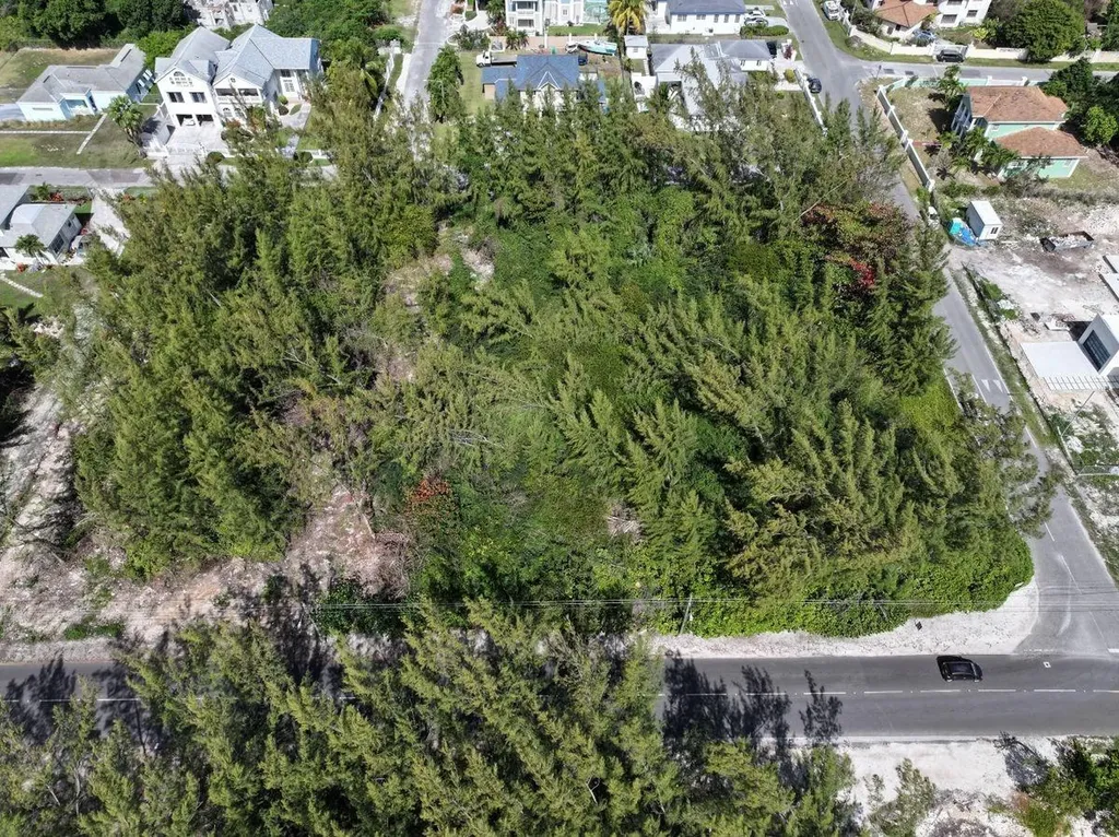 Twynam & Ocean Front Lot New Providence Paradise Island BS — photo 4