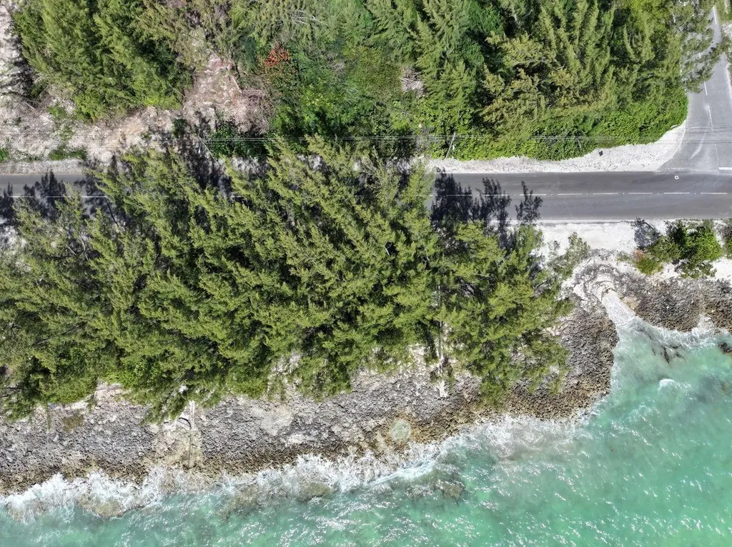 Twynam & Ocean Front Lot New Providence Paradise Island BS — photo 10