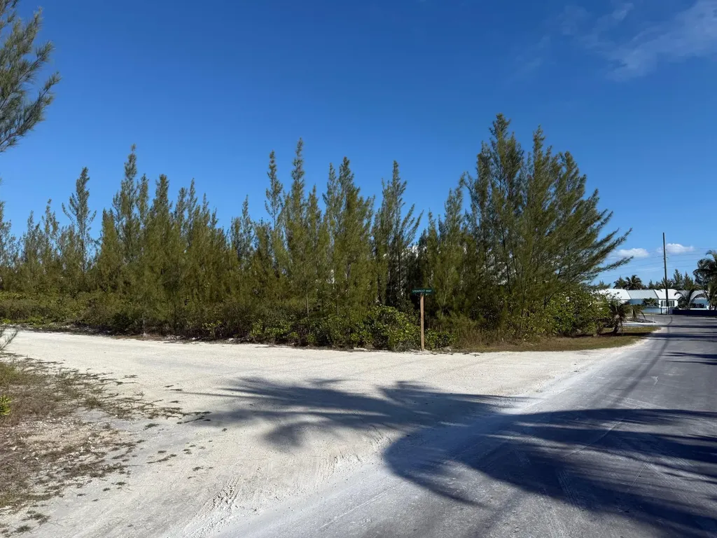 Windward Beach Road Abaco BS — photo 7
