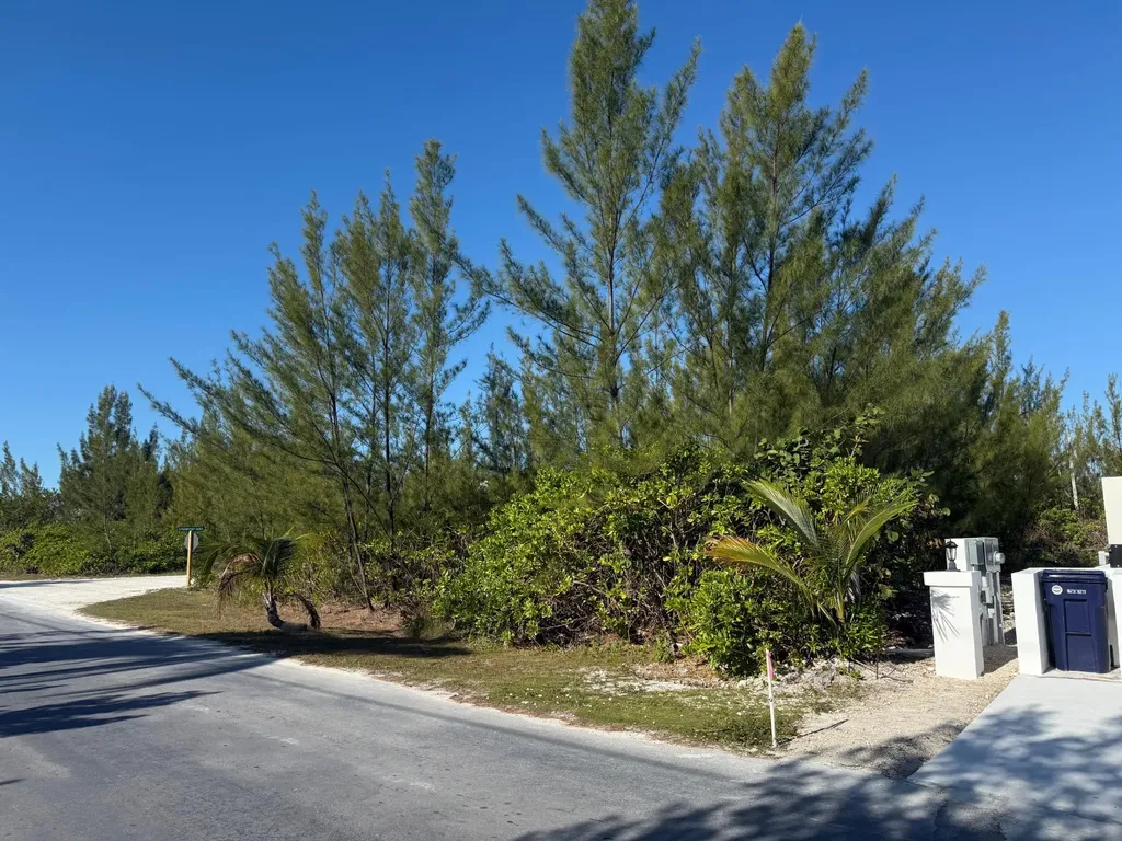Windward Beach Road Abaco BS — photo 8