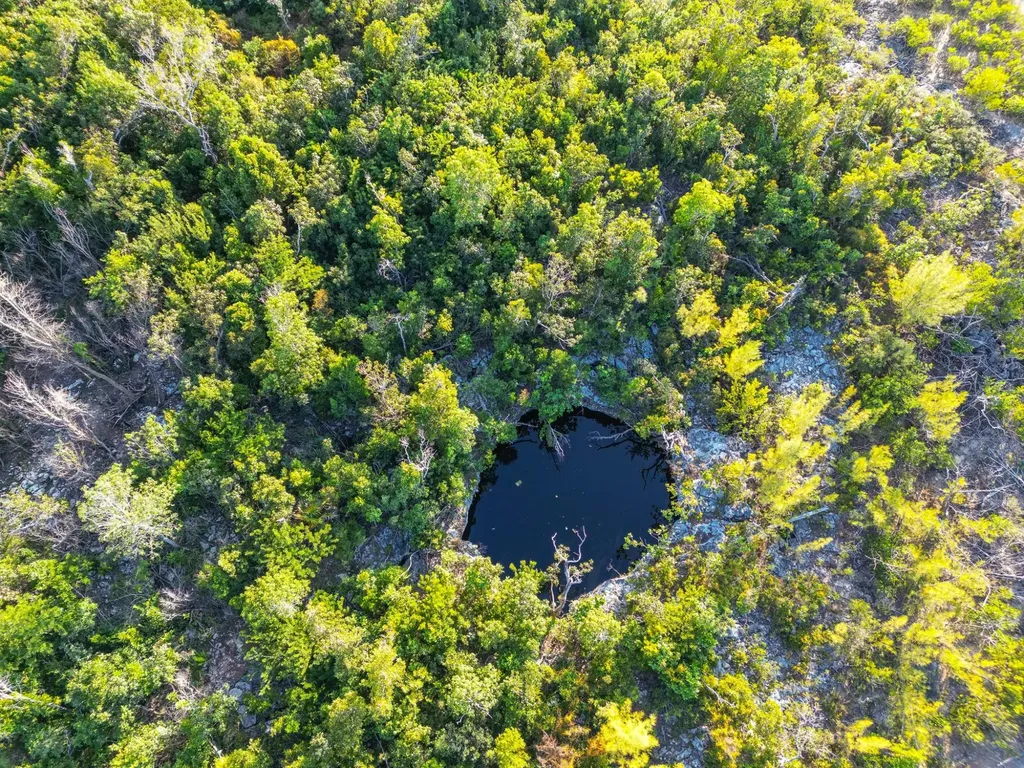 Great Cistern Acreage Abaco BS — photo 3