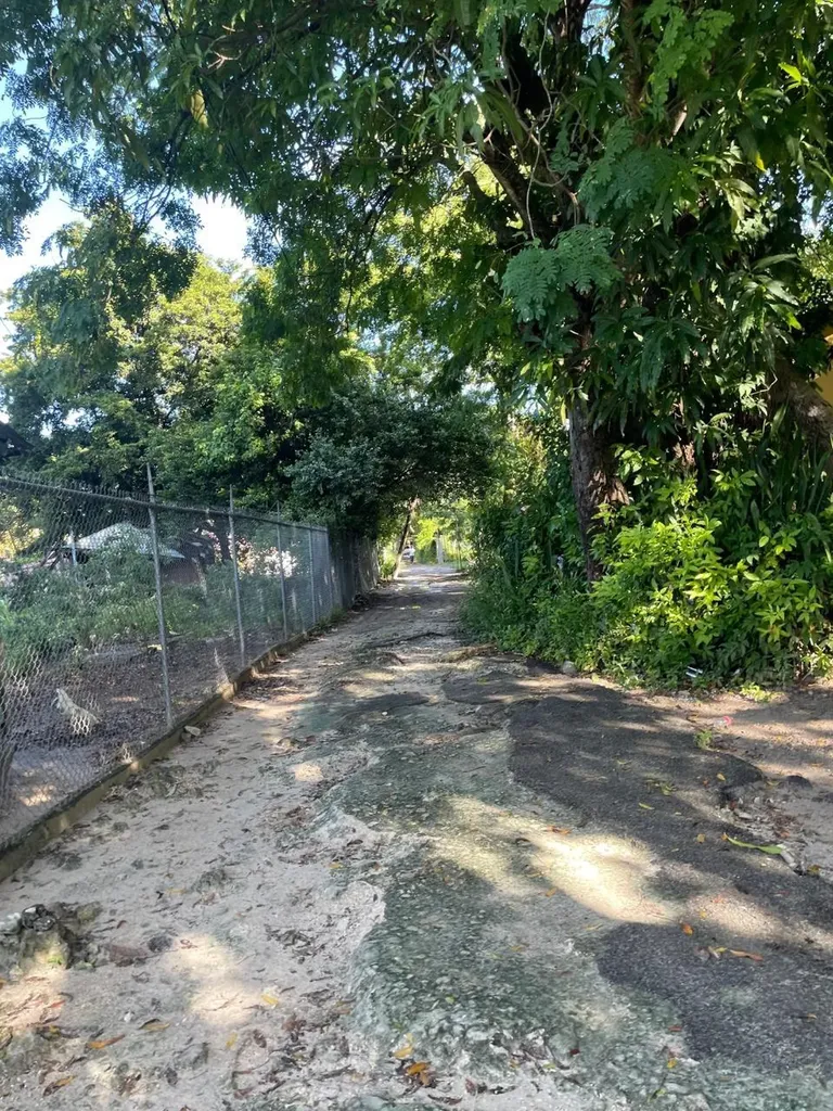 Fox Hill 1 New Providence Paradise Island BS — photo 3