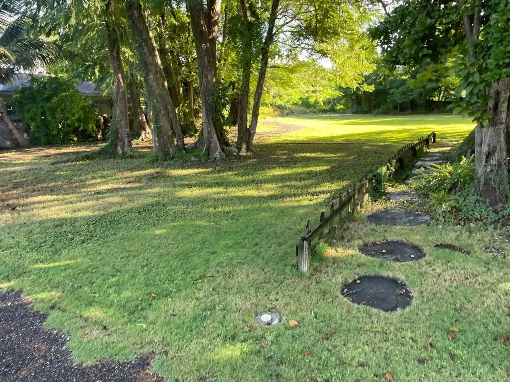 Fox Hill 1 New Providence Paradise Island BS — photo 4
