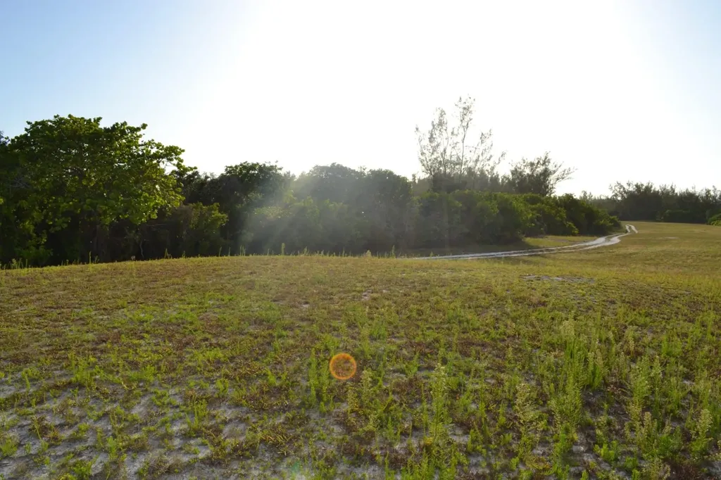 Fox Hill 1 New Providence Paradise Island BS — photo 6