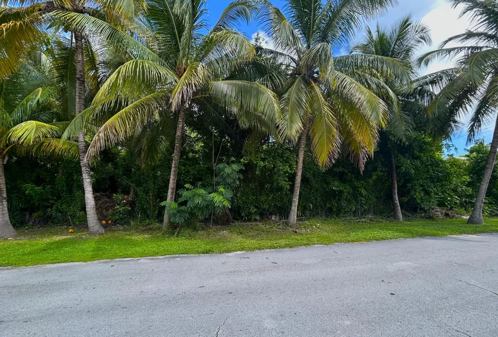 Vista Marina New Providence Paradise Island BS — photo 8