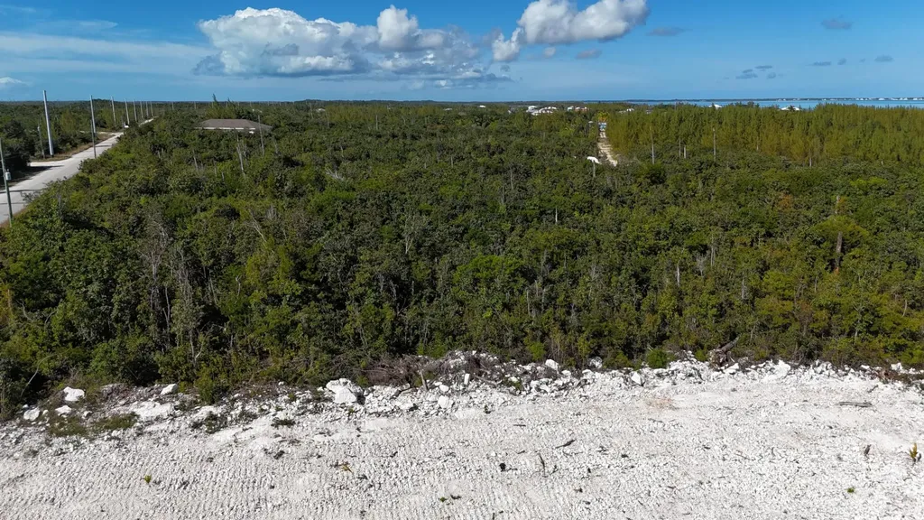 Turtle Rocks 1.13 Acres Abaco BS — photo 12