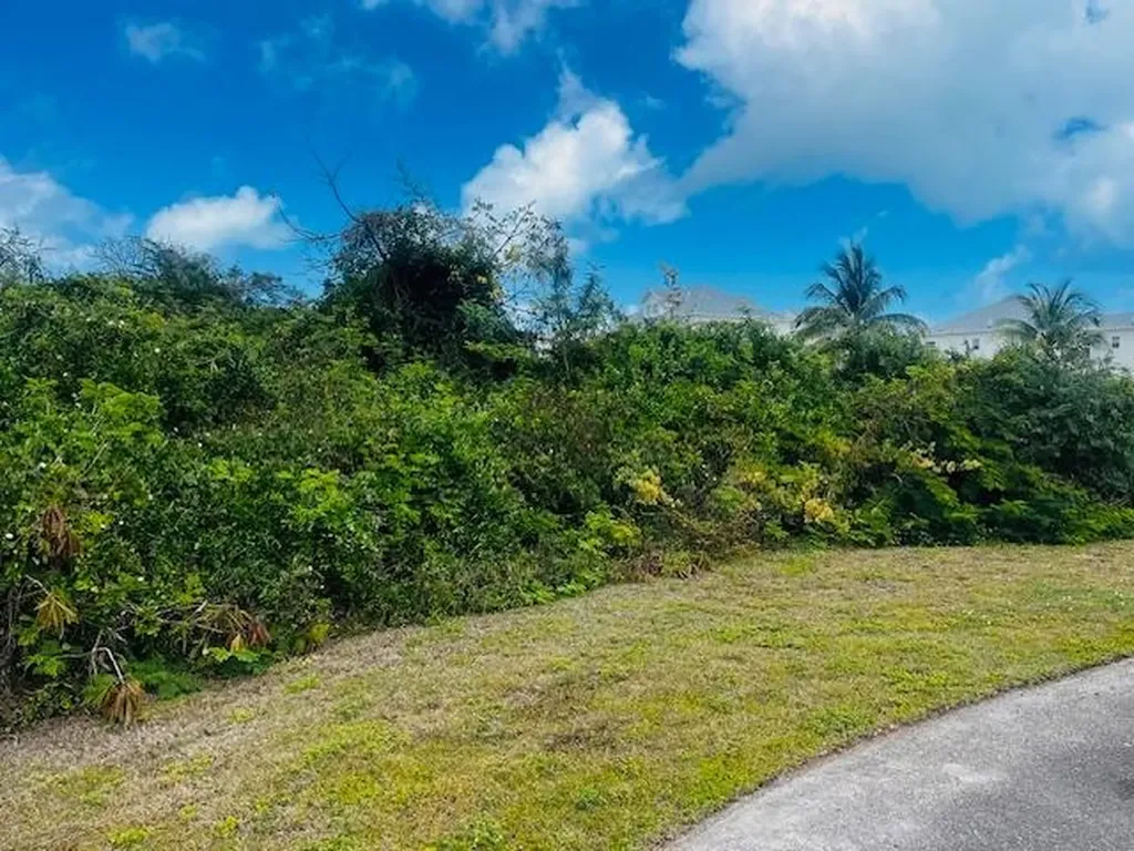 Lot 155 Palm Cay New Providence Paradise Island BS — photo 7