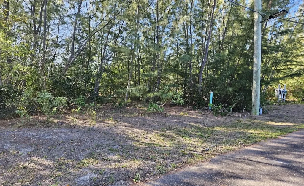 Lot 49, Coral Harbor New Providence Paradise Island BS — photo 4