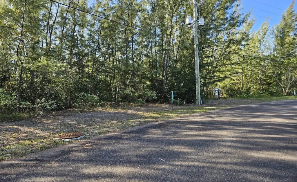 Lot 49, Coral Harbor New Providence Paradise Island BS — photo 5