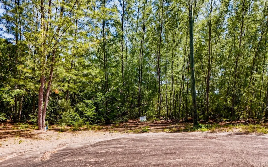 Lot 1, Fairway Close New Providence Paradise Island BS — photo 4