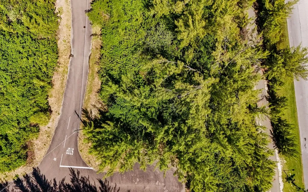 Lot 21, Fairway Close New Providence Paradise Island BS — photo 3