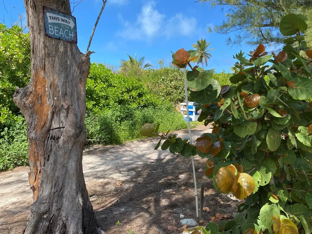 Dolphin Beach Estates Abaco BS — photo 3