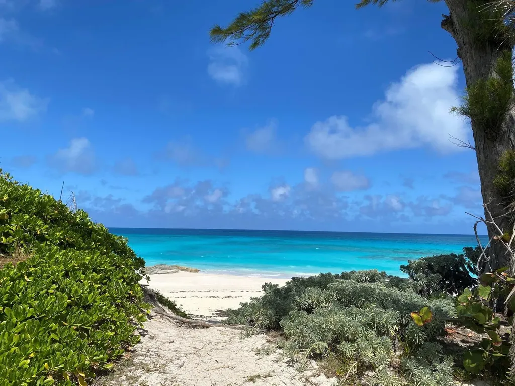 Dolphin Beach Estates Abaco BS — photo 5