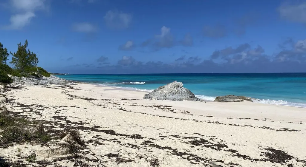 Dolphin Beach Estates Abaco BS — photo 6