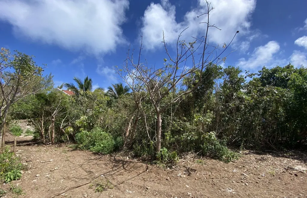Dolphin Beach Estates Abaco BS — photo 9