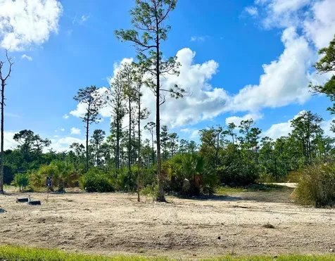Lot 77, Windsor Lakes New Providence Paradise Island BS — photo 12