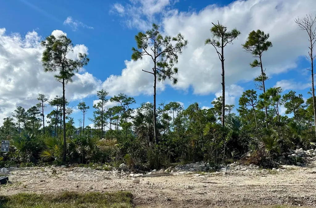 Windsor Lakes New Providence Paradise Island BS — photo 2