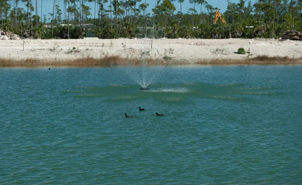 Windsor Lakes New Providence Paradise Island BS — photo 11