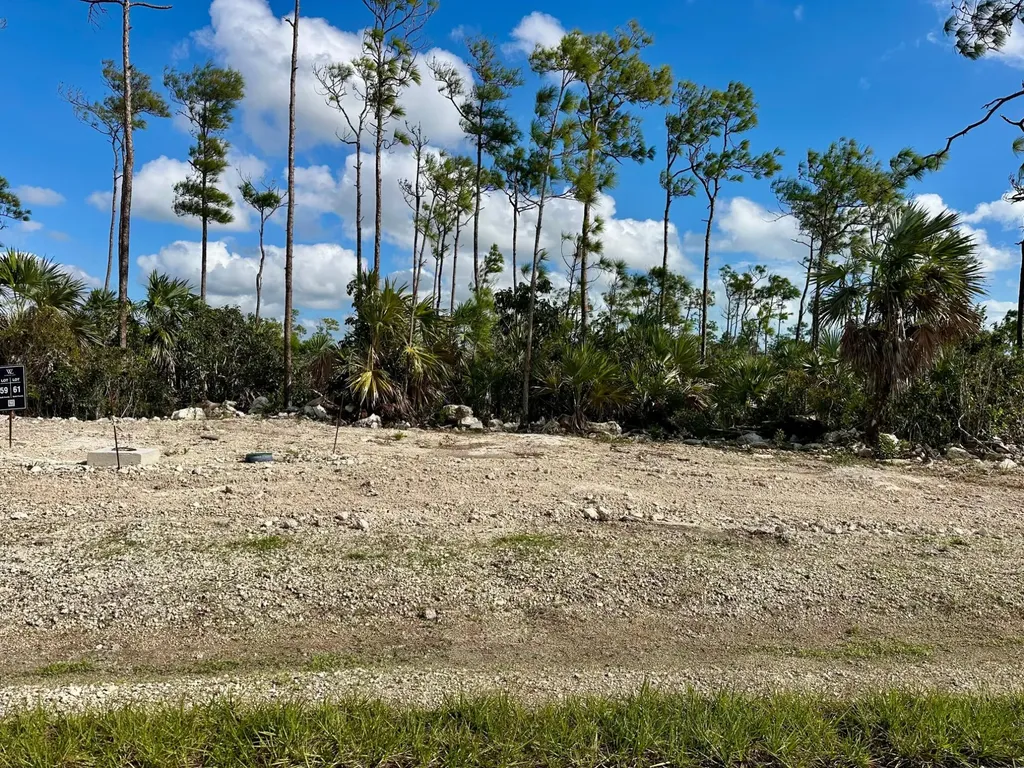 Lot 61, Windsor Lakes New Providence Paradise Island BS — photo 2