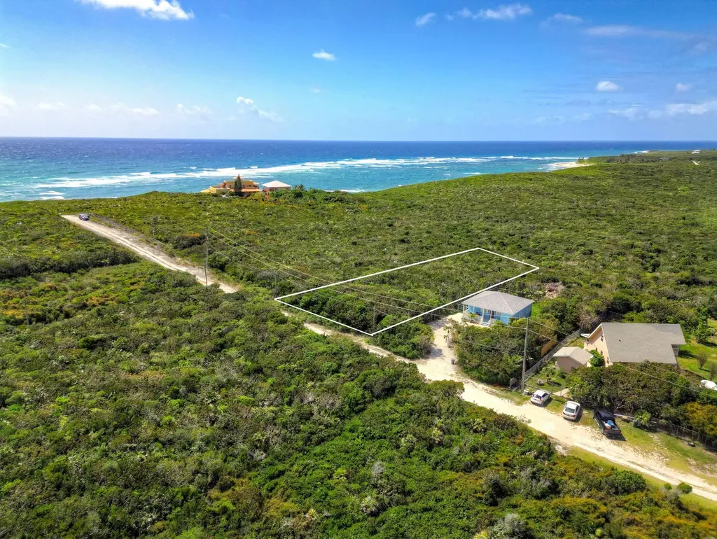 2D Yellow Wood Cherokee Abaco BS — photo 4