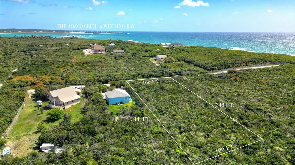 2D Yellow Wood Cherokee Abaco BS — photo 6