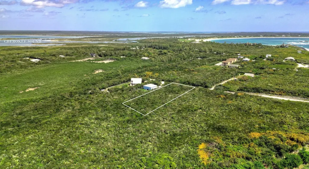 2D Yellow Wood Cherokee Abaco BS — photo 8