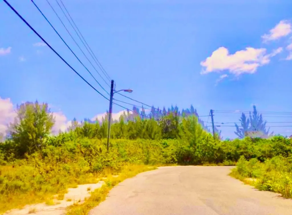 Marshall Road Lot New Providence Paradise Island BS — photo 8